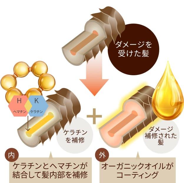 ダメージを受けた髪を補修するイメージ