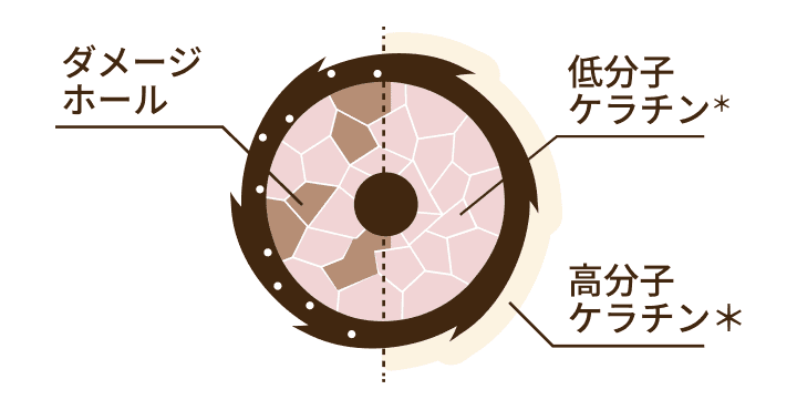 ダメージホールにケラチンが吸着するイメージ